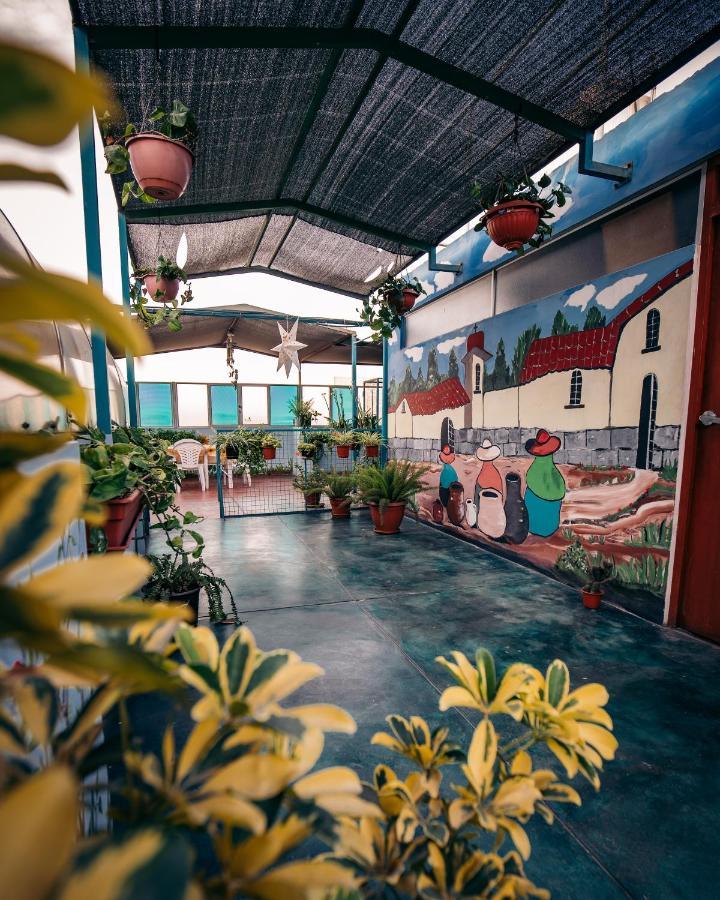 Mama Backpackers Hostel Лима Екстериор снимка